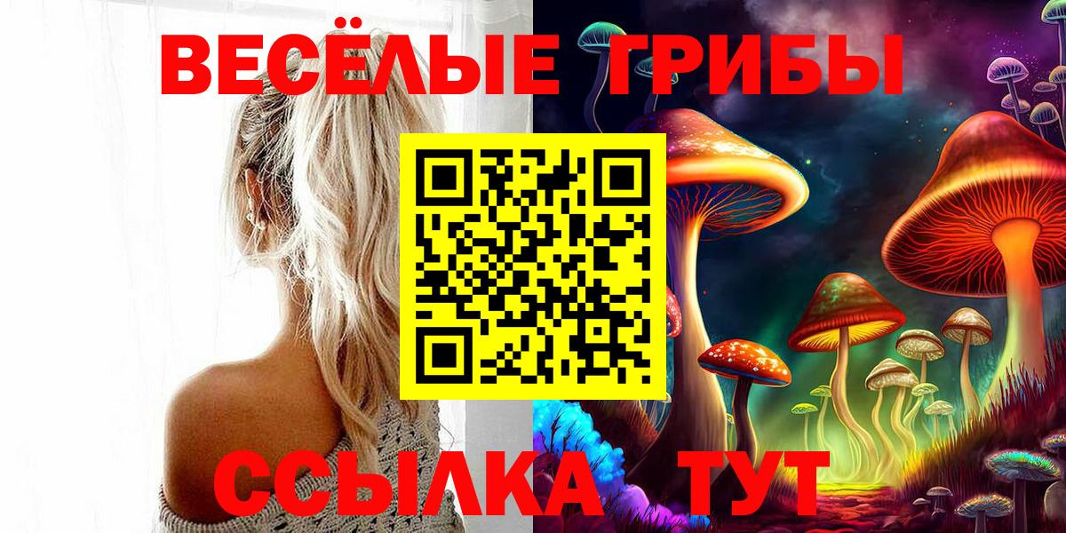Мелеуз  Галлюциногенные грибы Psilocybe  Вход с VPN 